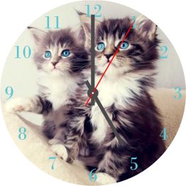 Cat CD Clock