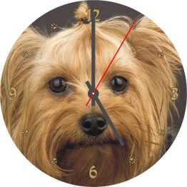 Yorkshire Terrier CD Clock